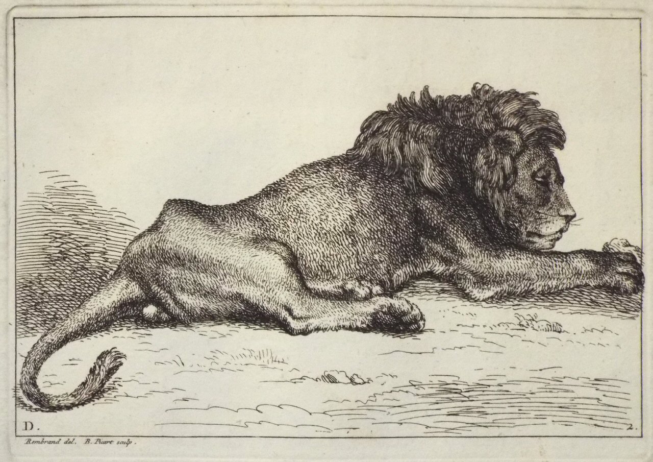 Etching - D. 2. Lion - Picart